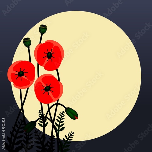 Poppy flowers image. Red poppy flowers against the moon. Floral Background Images. Vector illustration.