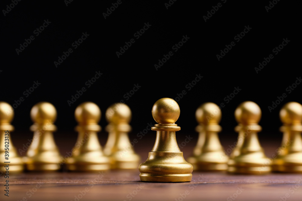 The concept of a leader in society among others The concept of a leader in society among others