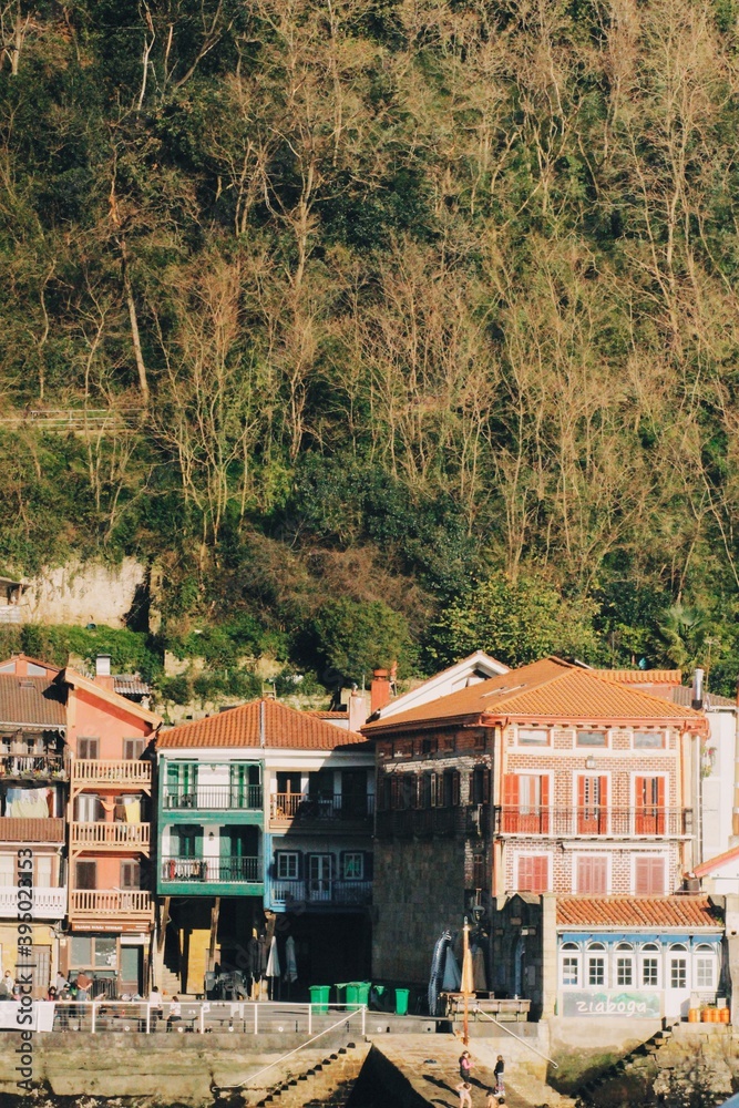 view of the town of kotor country