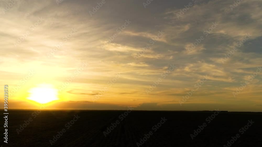 Agribusiness - Beautiful aerial image soybean plantation, drone over soybean lines, soybean plantation with sunlight in the background - Agriculture