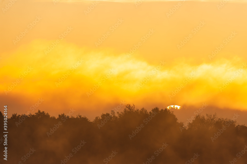 Sun rising above forest line Sun rising above forest line