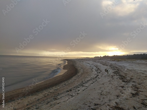 sunset on the beach