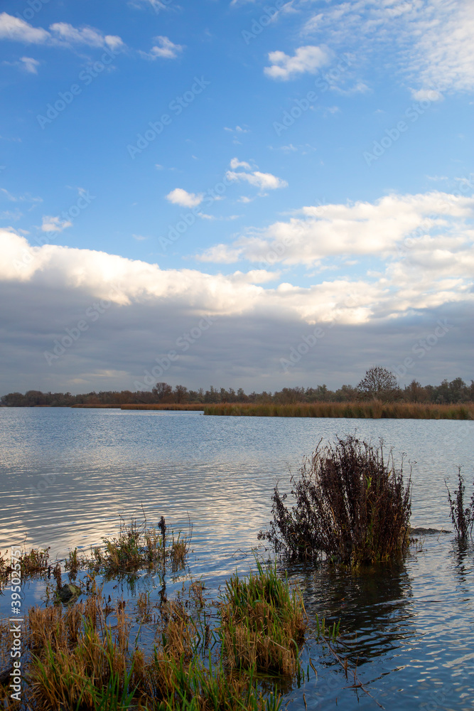 Landscape of Biesbosch Natioanl Park, North Brabant, Netherlands Landscape of Biesbosch Natioanl Park, North Brabant, Netherlands