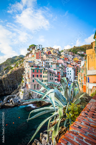 Fototapeta Naklejka Na Ścianę i Meble -  Riomaggiore,  small village in Cinque Terre,  Liguria,  Italy