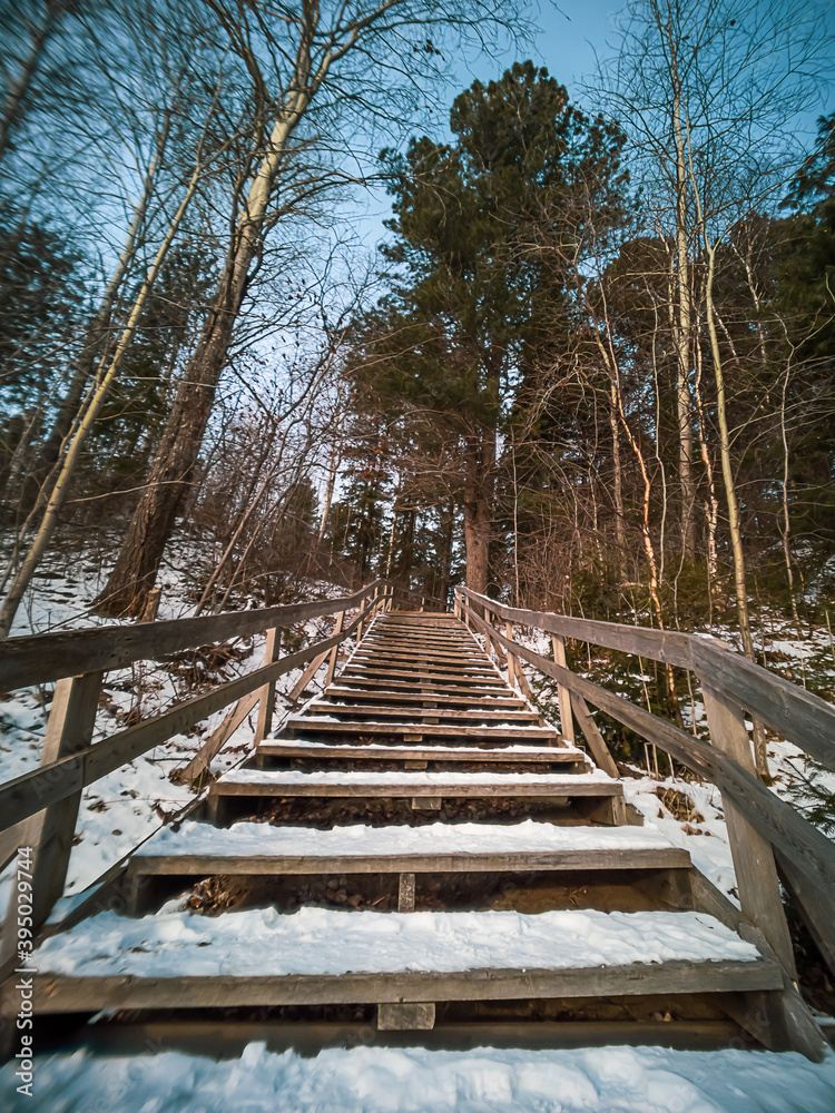 Wooden staircase in the winter forest. Cold frosty weather.