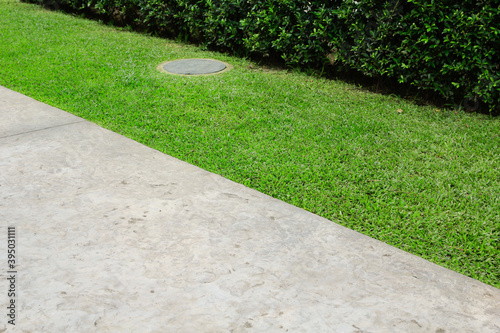 stone path in the garden