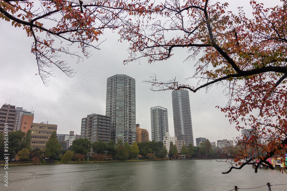 Φωτογραφία Shinobazu park in the middle of Tokyo (Japan)