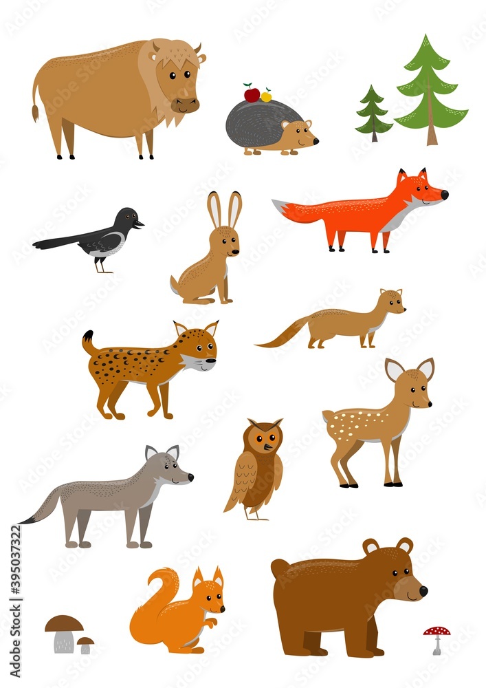 set of funny smiling forest animals from side isolated on white background, cute vector illustration for children