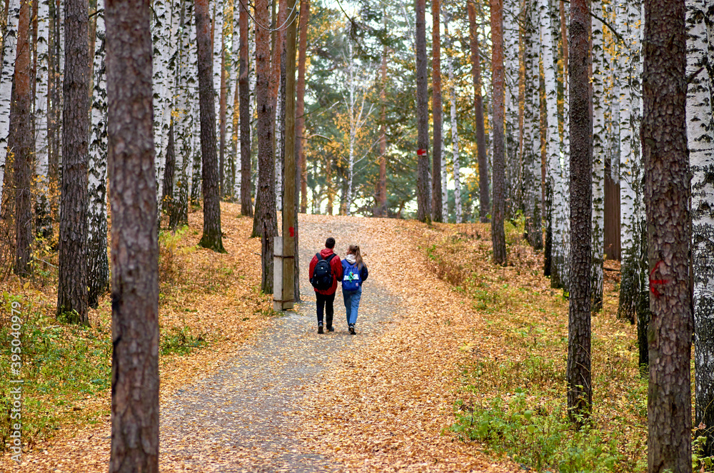 Obraz premium walk in the forest