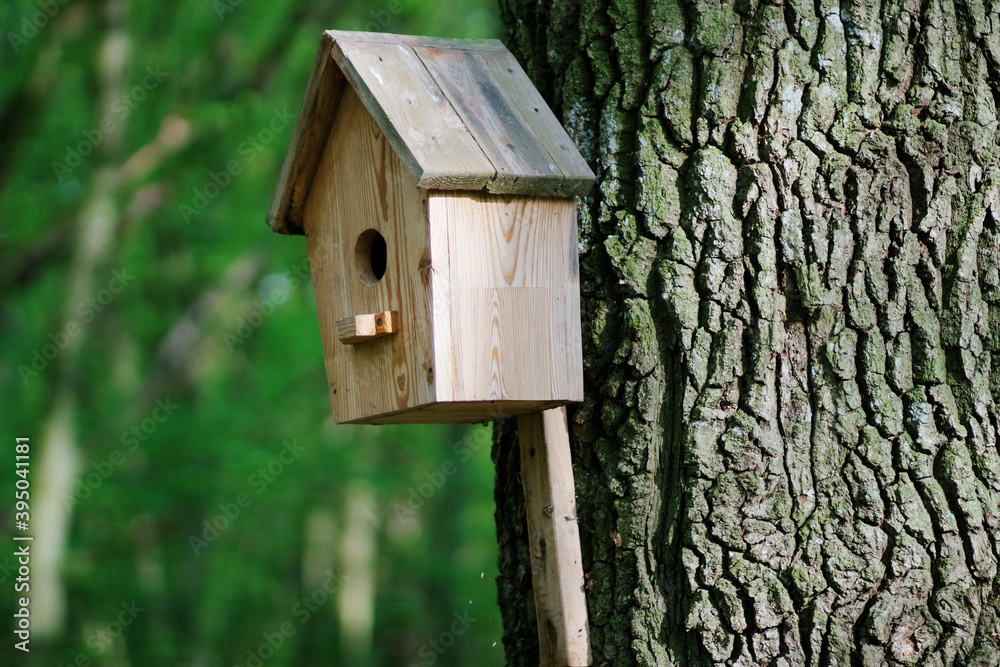 A wooden birdhouse for birds hangs on a tree. Birdhouse close-up with mockup