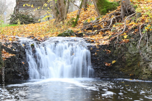Fototapeta Naklejka Na Ścianę i Meble -  A shoot of many waterfalls at long exposure, Latvia, autumn yellow fallen leaves