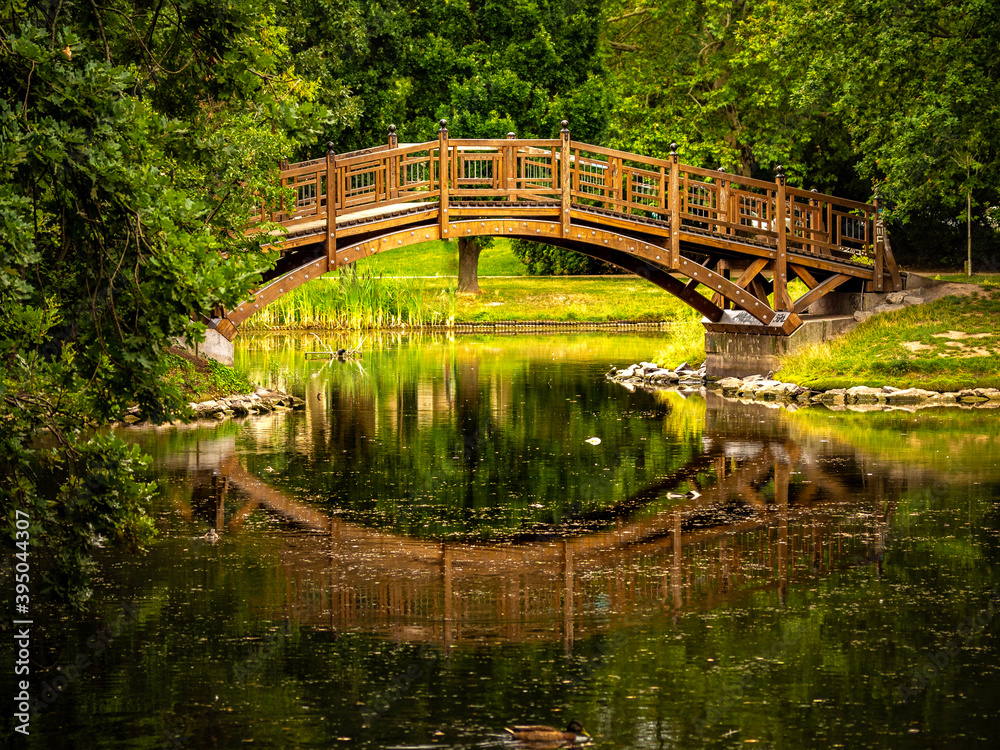 bridge over the river in a beautiful park and colourful nature bridge over the river in a beautiful park and colourful nature