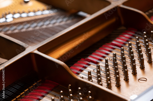 An inside of a grand piano