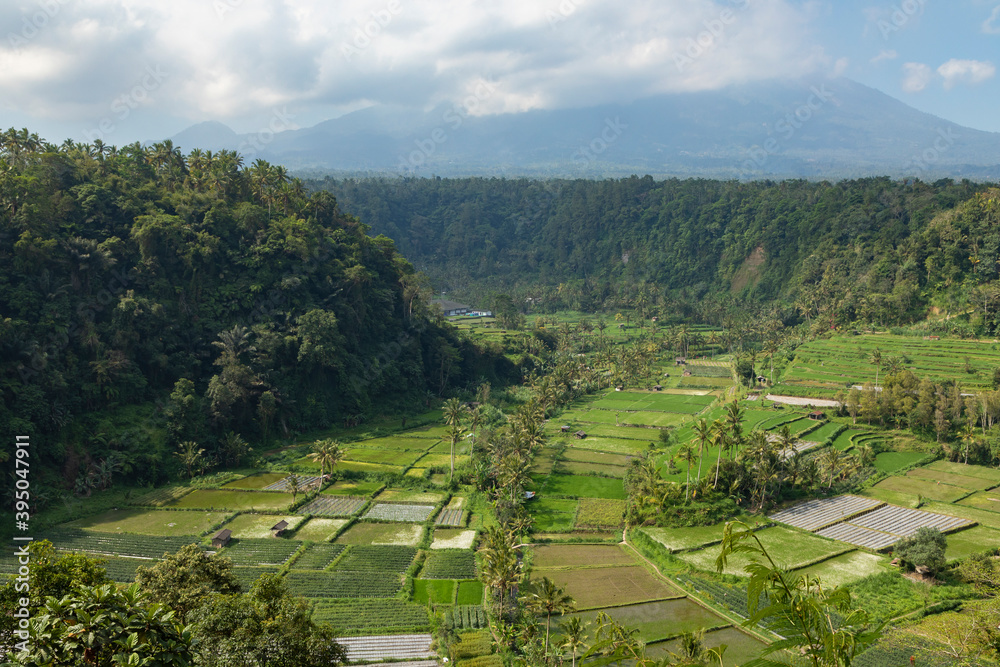 Mount Agung volcano in the distance, surrounded by a landscape of palm trees, farm fields, and rice fields, near the town of Besakih in the eastern part of the island of Bali, Indonesia.