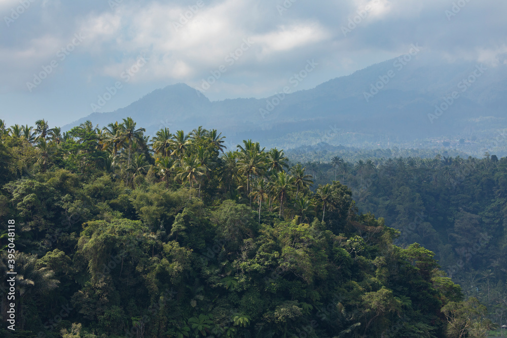 Mount Agung volcano in the distance, surrounded by a landscape of palm trees and rainforest on the island of Bali, Indonesia.