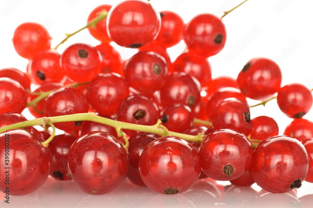 Ripe red currants, close-up, on a white background.