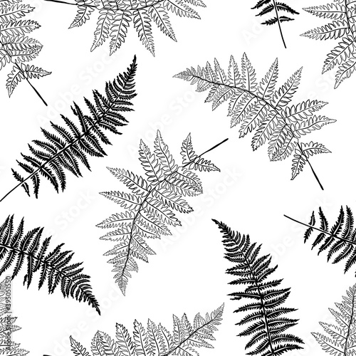 Vector botanical illustration of fern leaf. Isolated outline modern drawing of tropical plant. Set of exotic fern leaves silhouettes. Simple Linear  minimalist boho pattern.
