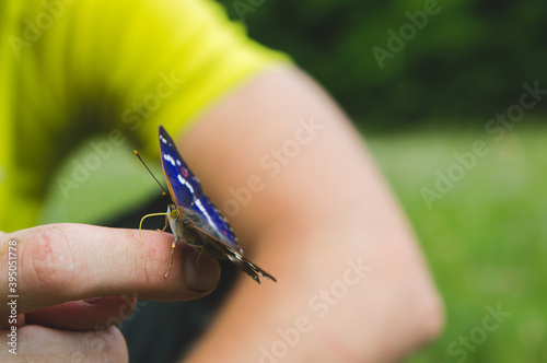 Butterflie on a hand of a human