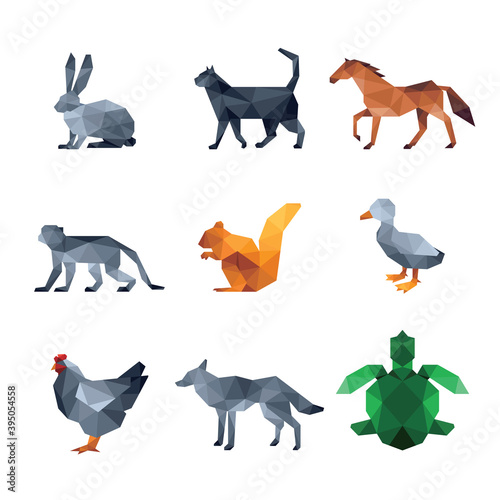 Pet low poly design