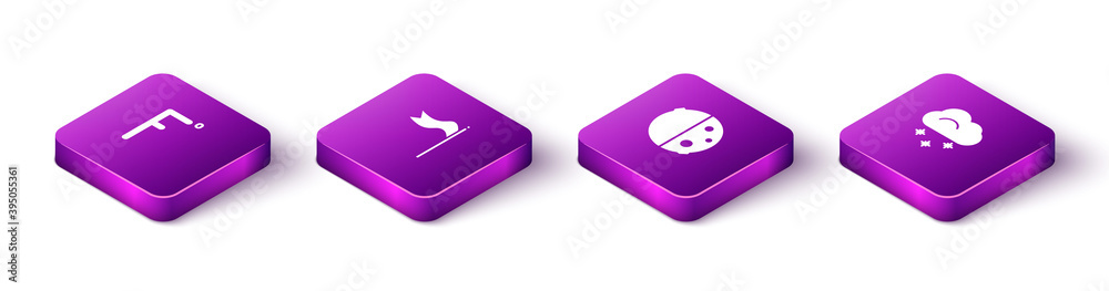 Set Isometric Fahrenheit, Meteorology windsock wind vane, Eclipse of the sun and Cloud with snow icon. Vector. Set Isometric Fahrenheit, Meteorology windsock wind vane, Eclipse of the sun and Cloud with snow icon. Vector.