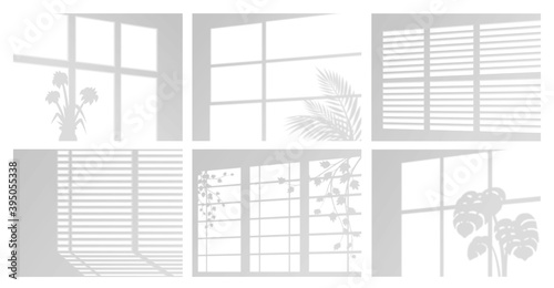 Shadow and light from windows with blinds and plants set. Reflection of sunshine on wall.