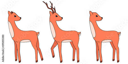 Vector illustration. Set of tree deer on white. Christmas decoration design element. Ideal for baby project, collage, holiday card, book illustration, banner. Hand drawn doodle clipart. Flat style.