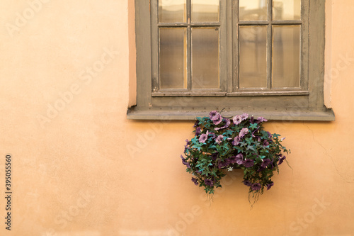 A flower pot under a window