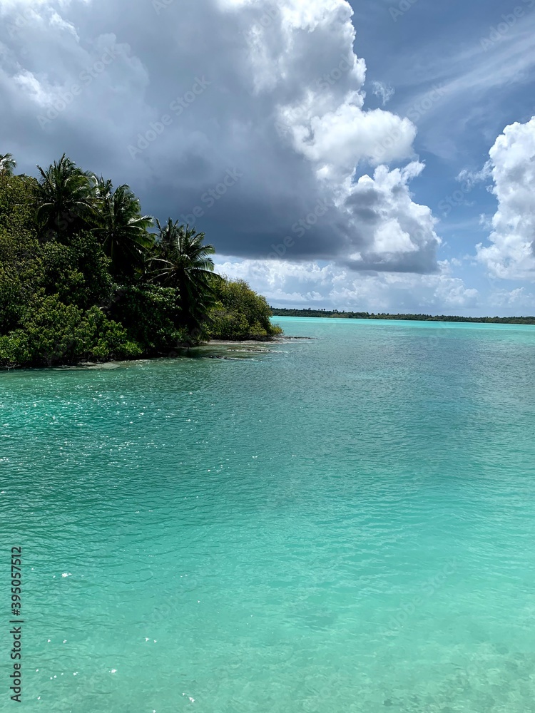 Fototapeta premium beach