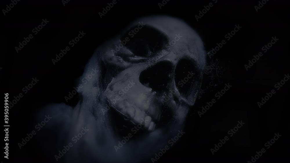 A scary human skull, covered with spider webs and other nasty stuff, appearing under a fast flickering light creating ominous shapes.
