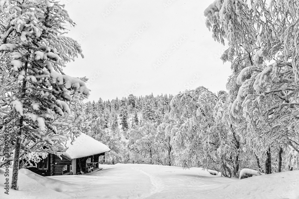 wooden hut in a snowy nature park in finland with trees in front and behind the hut