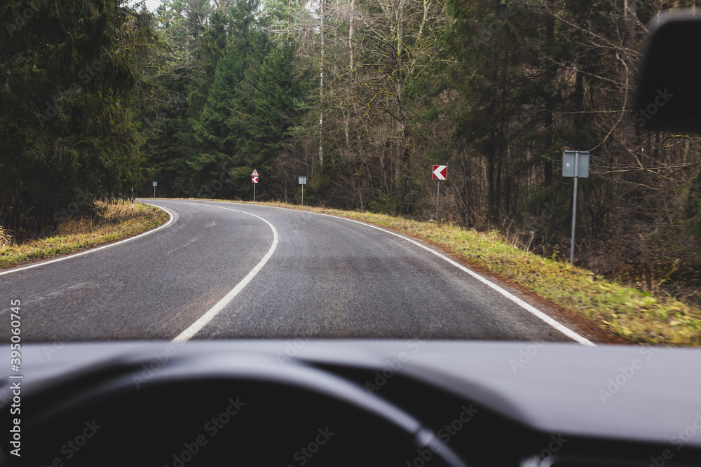 road in the forest