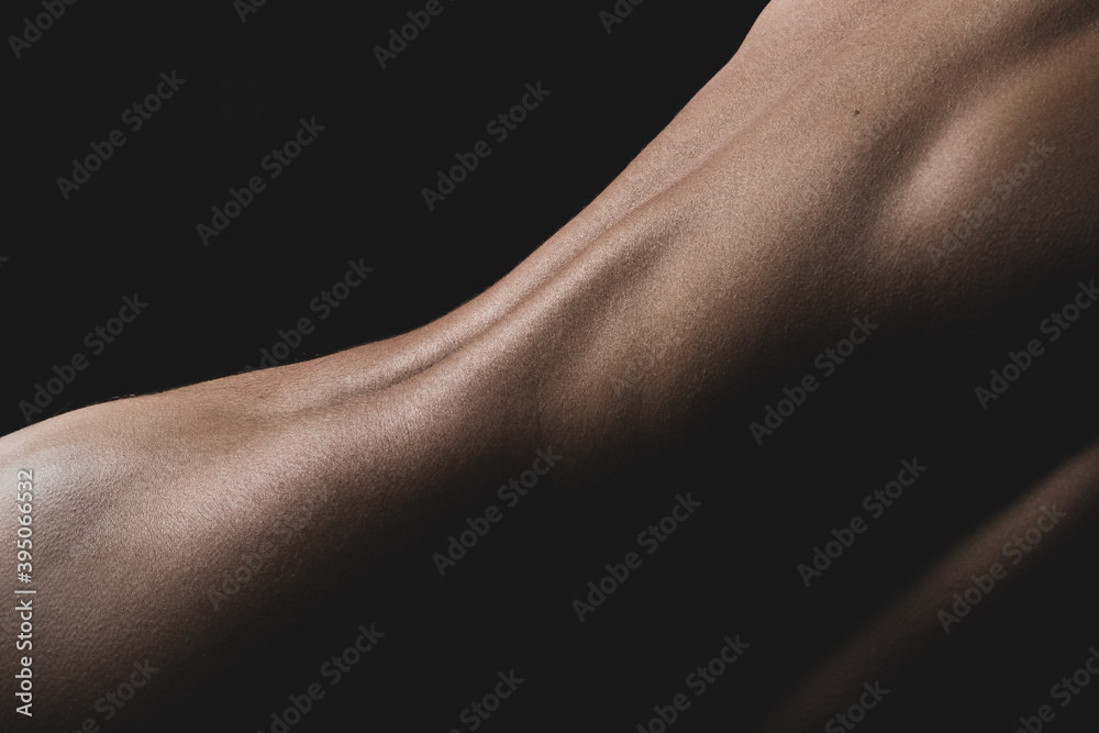 Fototapeta premium Bodyscape - Female nude body details