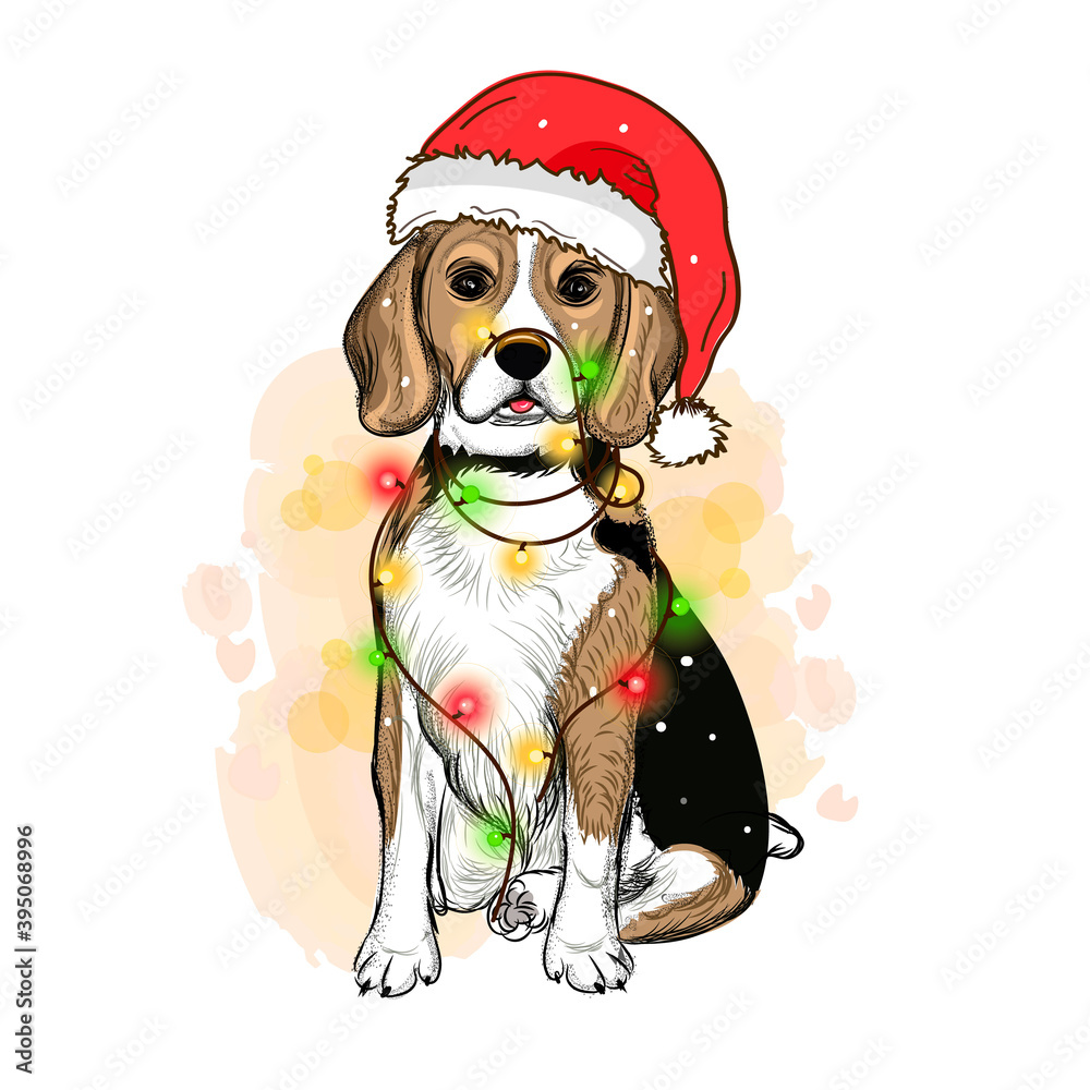 Vector portrait of beagle dog wearing santa hat Christmas lights garland. Isolated on snow. Sketched color illustration. Christmas, Xmas, New year. Party decoration, promotion, greeting card.