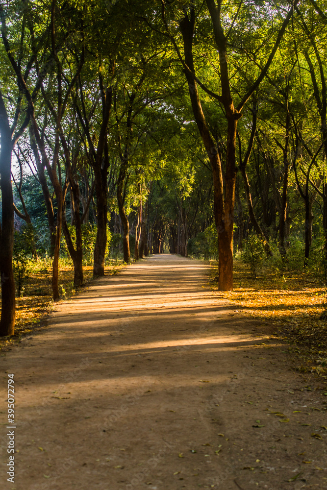 Various views of Punit Van park in Gandhinagar Various views of Punit Van park in Gandhinagar