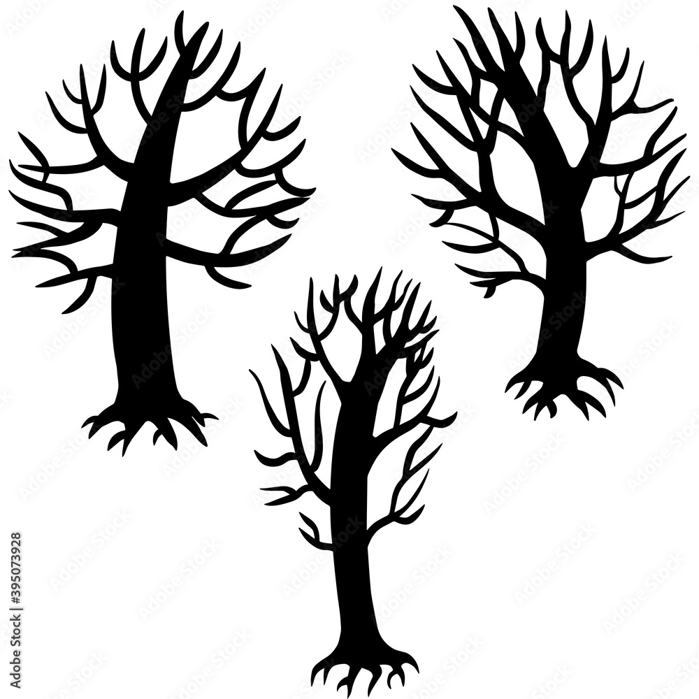 Fototapeta premium Black silhouette of winter trees without foliage - three trees isolated in white background, with branches and roots. Outline flat design. Digital illustration made after hand drawn sketch.