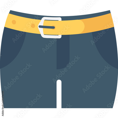 
Shorts Flat Vector Icon 
