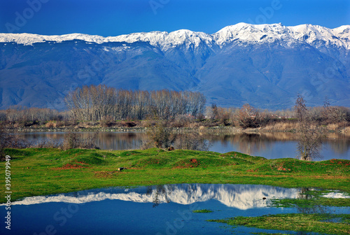 Snow capped Beles mountain  reflected on the surface ol lake Kerkini  Serres  Macedonia  Greece.