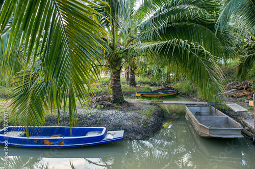 Asia  Thailand  Agricultural Field  Agriculture  Canal