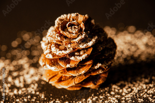 pine cone snow dark background