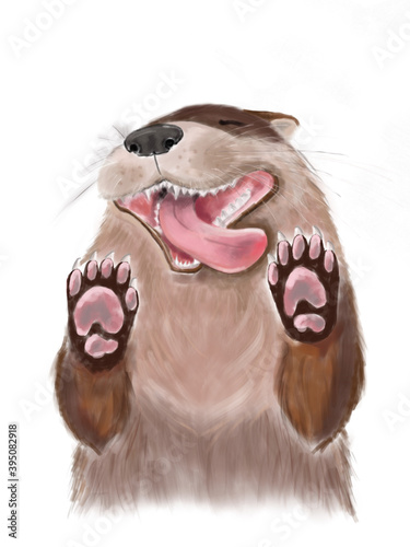 Pretty lovely brown Otter are smiling and her eyes are closed by pleasure behind the glass on a white background.