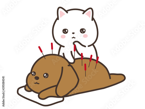 動物病院　鍼灸治療　犬と猫