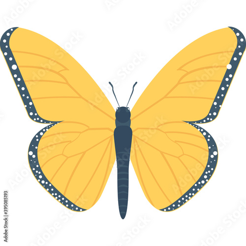 Butterfly Flat Vector Icon