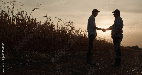 Two farmers shake hands, stand on the road between fields of corn at sunset photo
