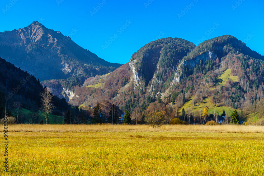 leuchtende, farbige Herbststimmung im Naturschutzgebiet Bizauer Moos entland des Ulfernbach (Österreich, Vorarlberg, Bizau); blick auf Kirche St. Jakobus in Reuthe