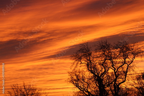sunset in the field