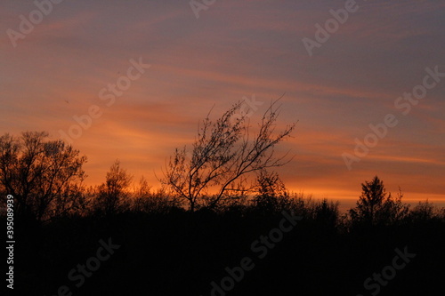 sunset in the field
