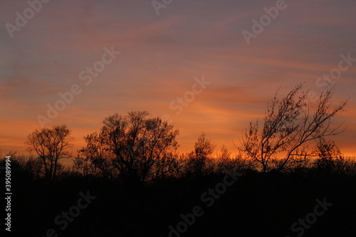 sunset in the field