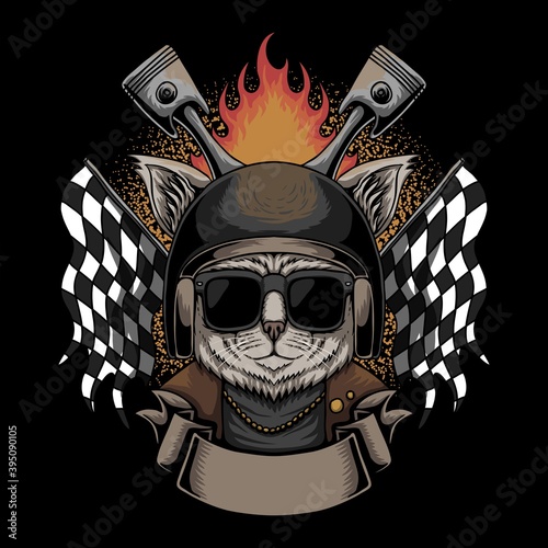 Cat Helmet motorcycle