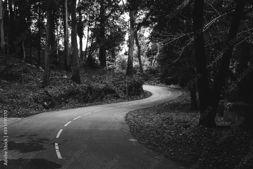 Fototapeta premium broad road in Portugal black and white