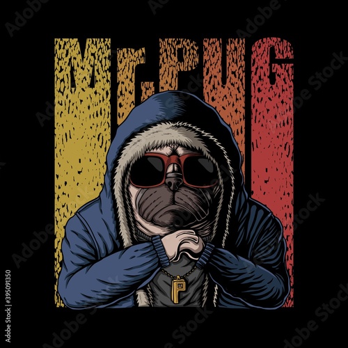Mr pug dog 
